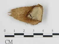 登錄號:F0017554藏品圖，第4張