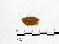 登錄號:F0017556藏品圖，第1張