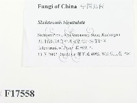 登錄號:F0017558藏品圖，第2張