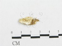登錄號:F0017558藏品圖，第1張