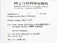 登錄號:F0017559藏品圖，第2張
