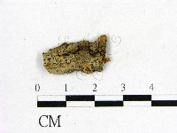 登錄號:F0017559藏品圖，第1張