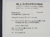 登錄號:F0017560藏品圖，第2張