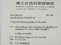 登錄號:F0017561藏品圖，第2張
