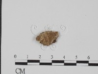 登錄號:F0017561藏品圖，第1張