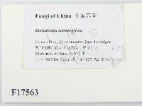 登錄號:F0017563藏品圖，第2張