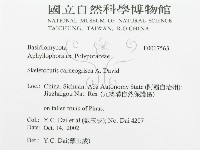 登錄號:F0017563藏品圖，第3張