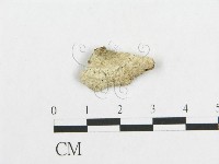登錄號:F0017563藏品圖，第1張