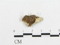 登錄號:F0017563藏品圖，第4張