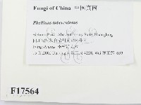登錄號:F0017564藏品圖，第2張