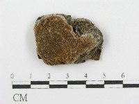 登錄號:F0017564藏品圖，第4張