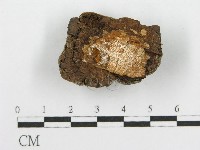 登錄號:F0017564藏品圖，第5張