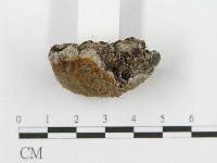 登錄號:F0017564藏品圖，第7張