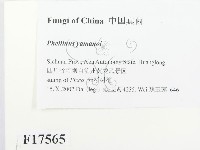 登錄號:F0017565藏品圖，第2張