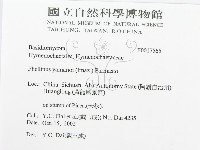 登錄號:F0017565藏品圖，第3張