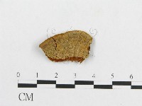 登錄號:F0017565藏品圖，第1張