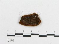 登錄號:F0017565藏品圖，第4張