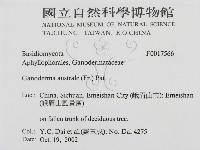 登錄號:F0017566藏品圖，第3張