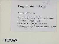 登錄號:F0017567藏品圖，第2張