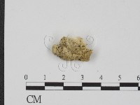 登錄號:F0017567藏品圖，第3張