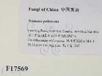 登錄號:F0017569藏品圖，第2張