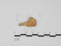登錄號:F0017569藏品圖，第1張