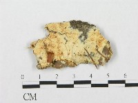 登錄號:F0017570藏品圖，第1張