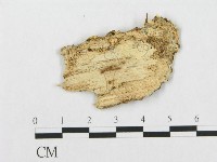 登錄號:F0017570藏品圖，第4張