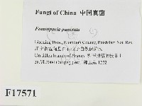 登錄號:F0017571藏品圖，第2張