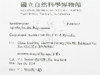 登錄號:F0017572藏品圖，第3張