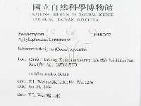 登錄號:F0017573藏品圖，第3張