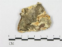 登錄號:F0017573藏品圖，第1張