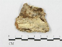 登錄號:F0017573藏品圖，第4張