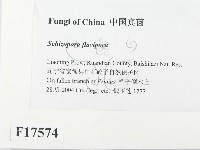 登錄號:F0017574藏品圖，第2張