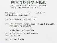 登錄號:F0017574藏品圖，第3張