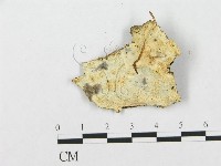 登錄號:F0017574藏品圖，第1張
