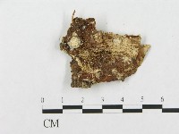 登錄號:F0017574藏品圖，第4張