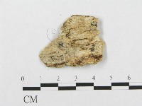 登錄號:F0017575藏品圖，第4張