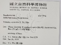 雲芝藏品圖，第2張