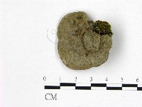 登錄號:F0017578藏品圖，第1張