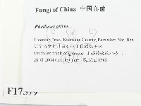 登錄號:F0017579藏品圖，第2張
