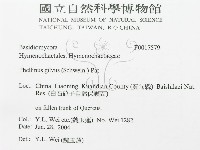 登錄號:F0017579藏品圖，第3張