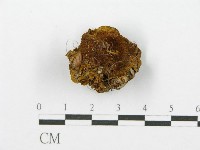 登錄號:F0017579藏品圖，第5張