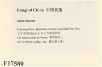 登錄號:F0017580藏品圖，第2張