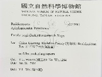 登錄號:F0017581藏品圖，第3張