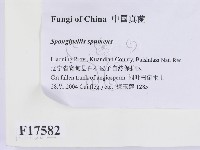 登錄號:F0017582藏品圖，第2張
