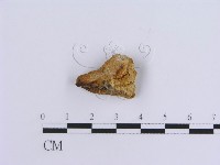 登錄號:F0017582藏品圖，第4張