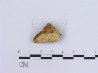 登錄號:F0017582藏品圖，第5張