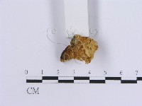 登錄號:F0017582藏品圖，第6張