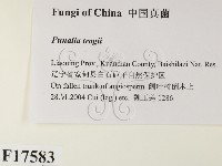 登錄號:F0017583藏品圖，第2張